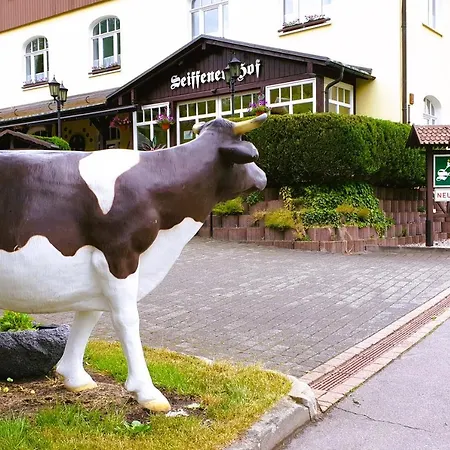 Seiffener Hof*** 3* Seiffen