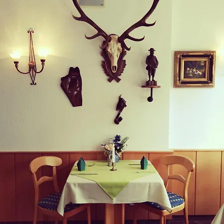 Hotel Seiffener Hof*** Seiffen
