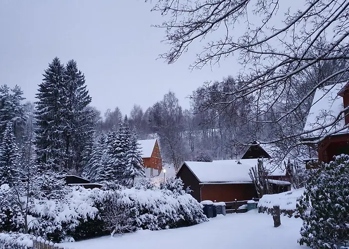 Seiffener Hof*** فندق سيفن