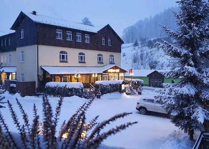 Seiffener Hof*** فندق