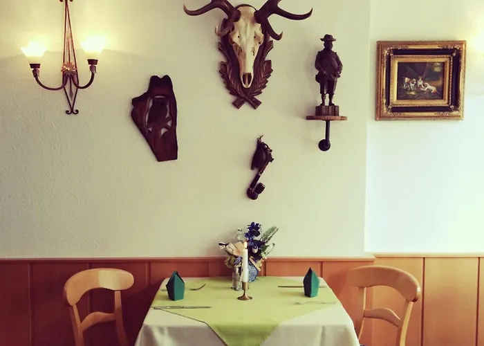 فندق Seiffener Hof*** سيفن