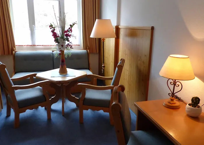 Seiffener Hof*** فندق 3*